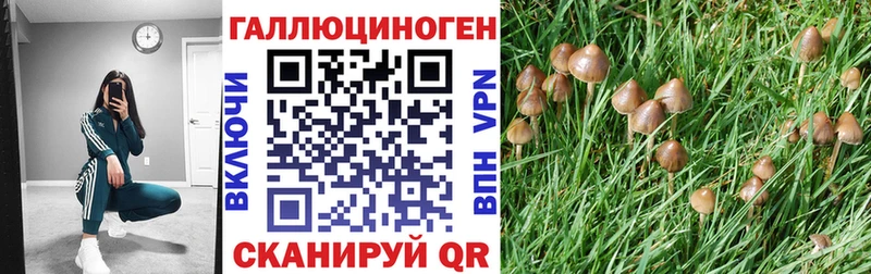 Галлюциногенные грибы мухоморы  Ардатов 